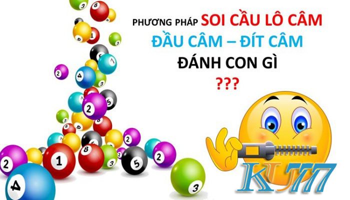 dau dit cam danh con gi